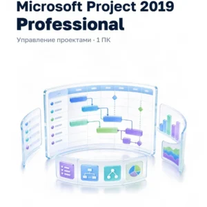 Microsoft Project 2019 Professional
