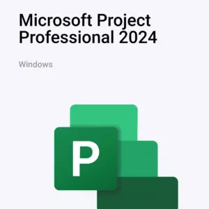 Microsoft Project 2024 Professional