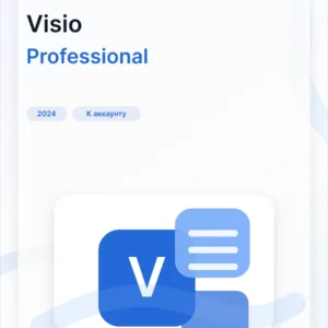 Microsoft Visio 2024 Professional