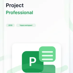 Microsoft Project 2016 Professional