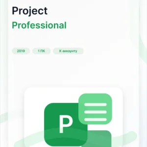 Microsoft Project 2019 Professional