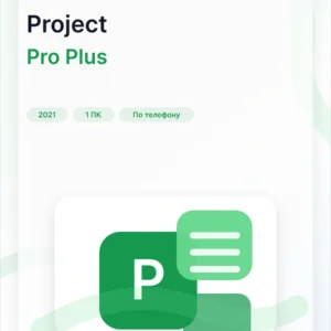 Microsoft Project 2021 Professional