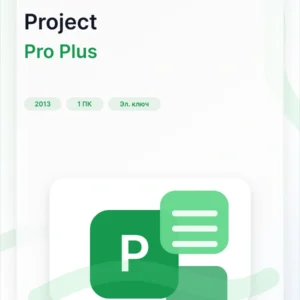 Microsoft Project 2013 Professional