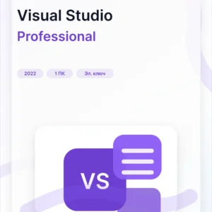 Microsoft Visual Studio 2022 Professional