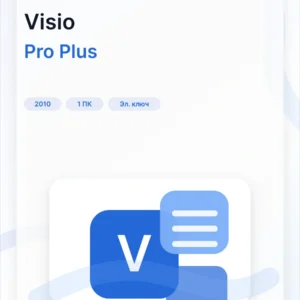 Microsoft Visio 2010 Professional