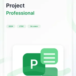 Microsoft Project 2024 Professional