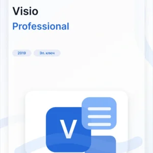 Microsoft Visio 2019 Professional