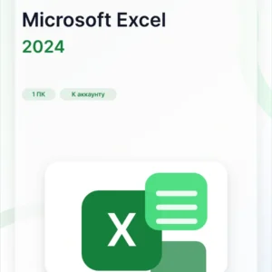Microsoft Excel 2024