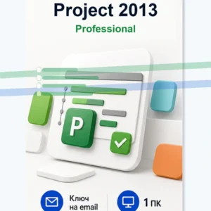 Microsoft Project 2013 Professional