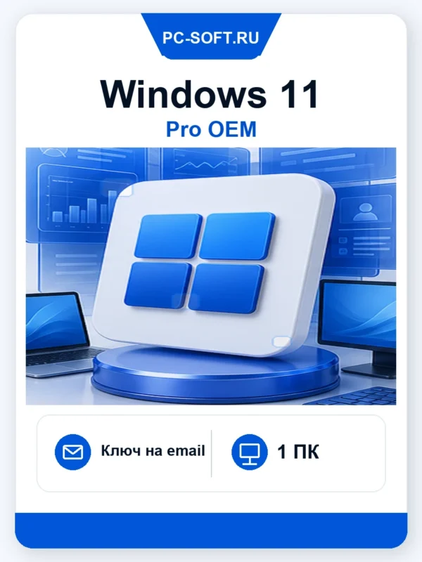 Windows 11 Pro OEM