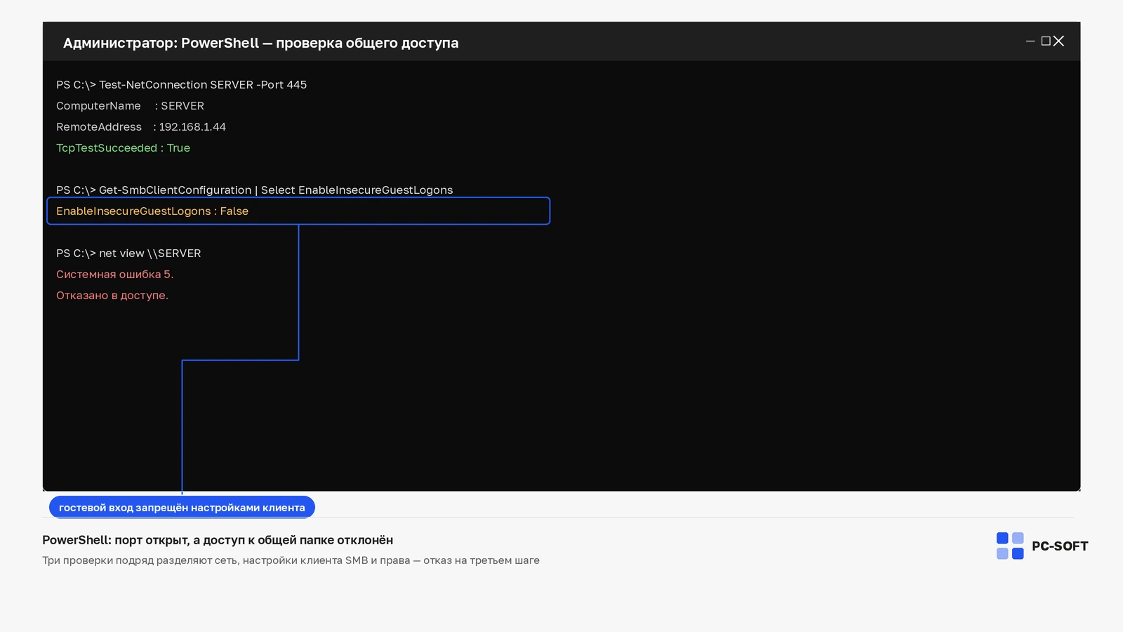Окно PowerShell с проверкой общего доступа: порт 445 доступен, гостевой вход запрещён, команда net view возвращает отказ в доступе