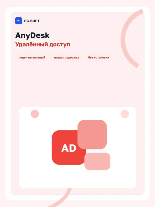 AnyDesk - лицензия на 1 год