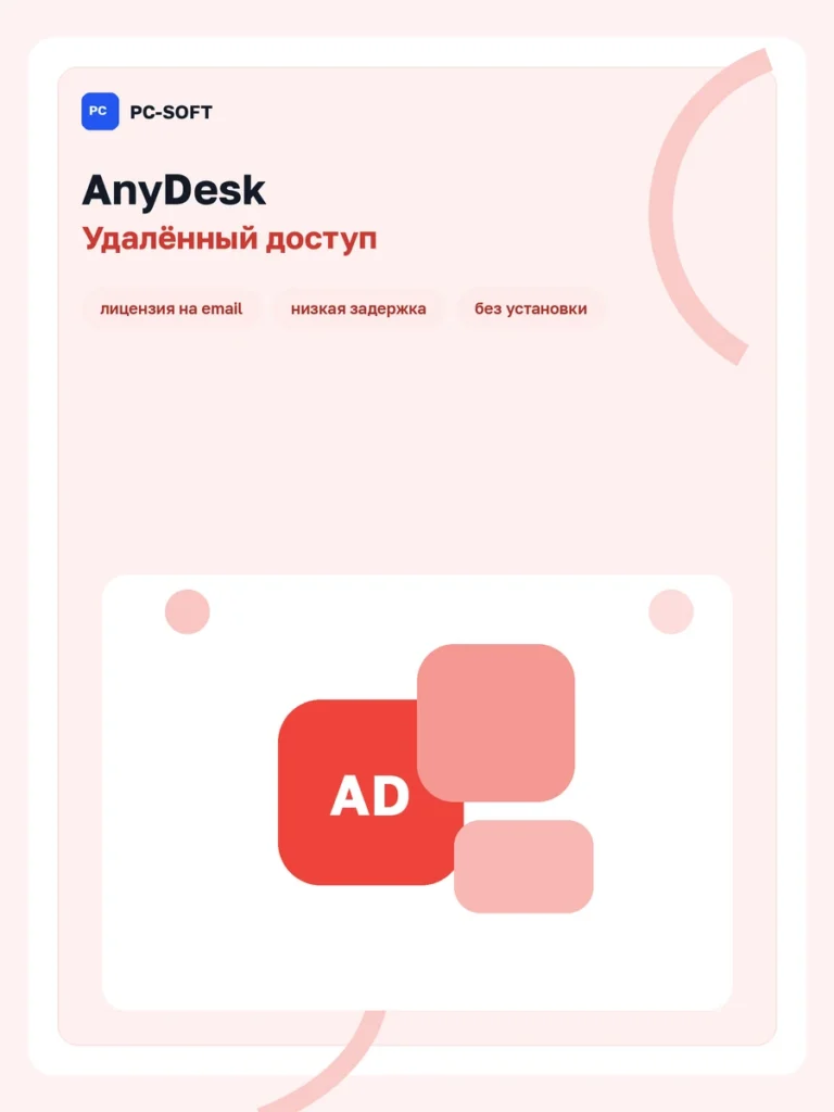 AnyDesk — лицензия на 1 год