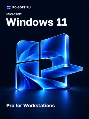 Microsoft Windows 11 Pro for Workstations