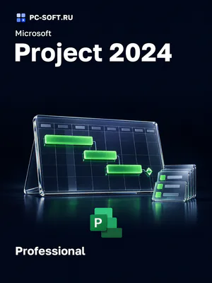 Microsoft Project 2024 Professional