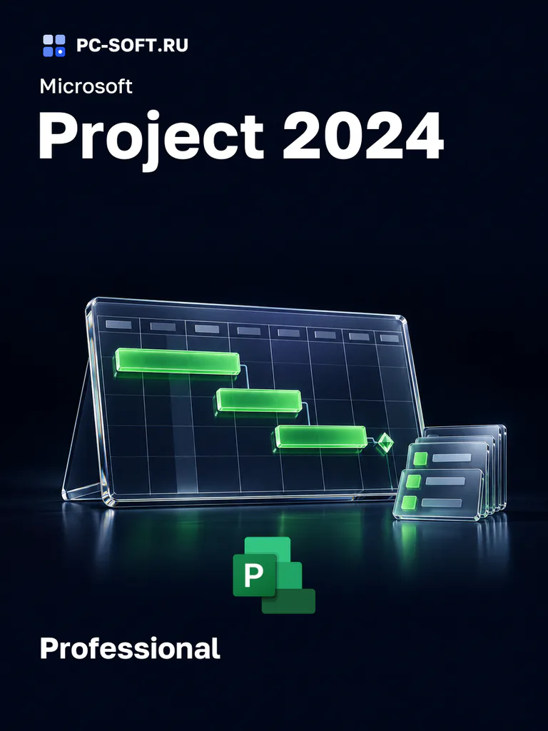 Microsoft Project 2024 Professional