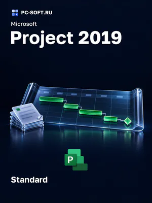 Microsoft Project 2019 Standard