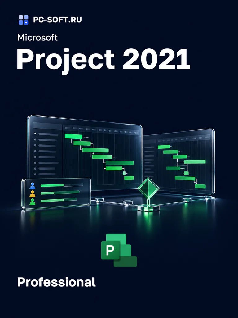 Microsoft Project 2021 Professional