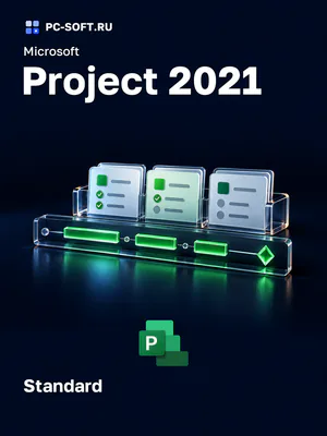 Microsoft Project 2021 Standard