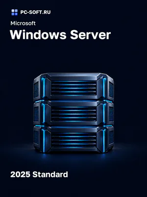 Microsoft Windows Server 2025 Standard