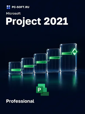Microsoft Project 2021 Professional