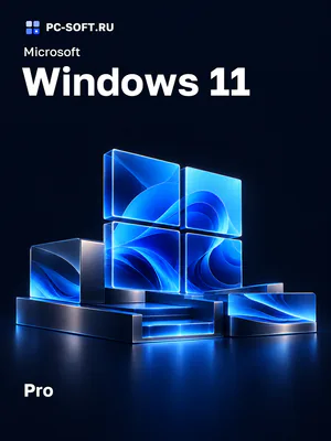 Microsoft Windows 11 Pro