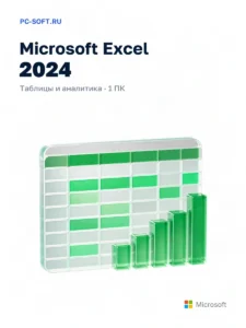 Microsoft Excel 2024
