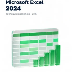 Microsoft Excel 2024