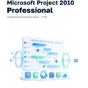 Microsoft Project 2010 Professional