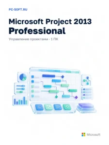 Microsoft Project 2013 Professional