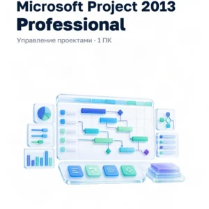 Microsoft Project 2013 Professional