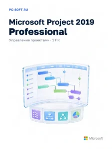 Microsoft Project 2019 Professional