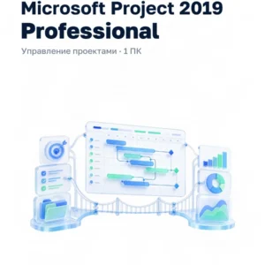 Microsoft Project 2019 Professional