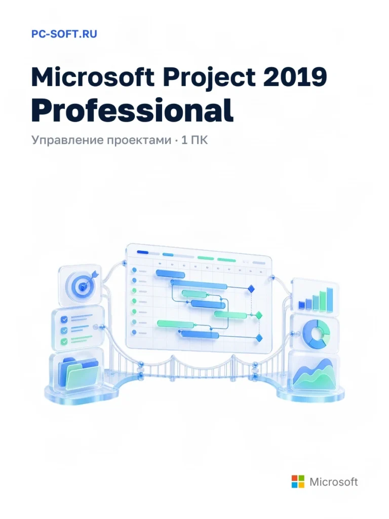 Microsoft Project 2019 Professional
