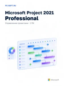 Microsoft Project 2021 Professional