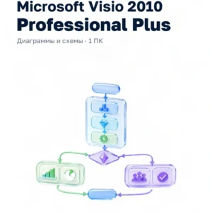 Microsoft Visio 2010 Professional