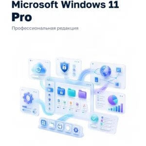 Windows 11 Pro