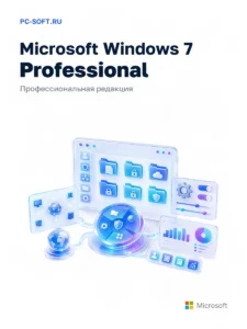 Windows 7 Professional