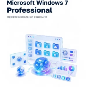 Windows 7 Professional