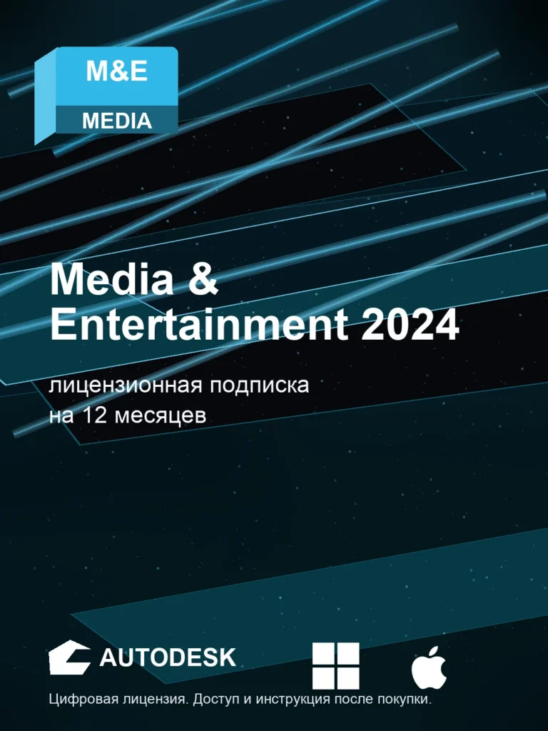 Media & Entertainment 2024