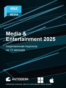 Media & Entertainment 2025