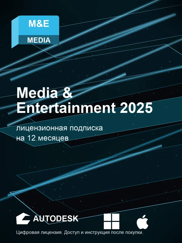 Media & Entertainment 2025