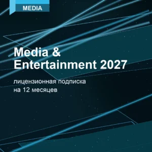 Media & Entertainment 2027